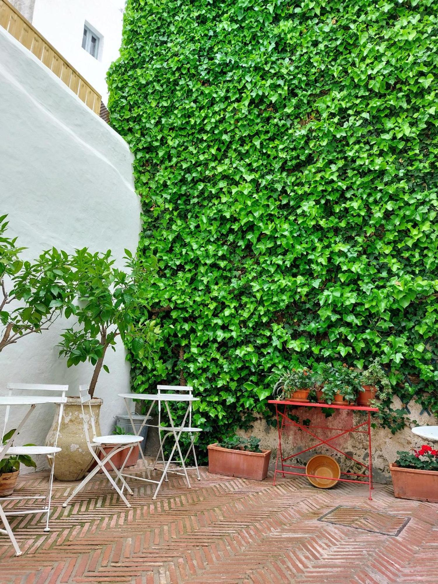 Hotel Casa Shelly Hospedería Vejer de la Frontera Exterior foto